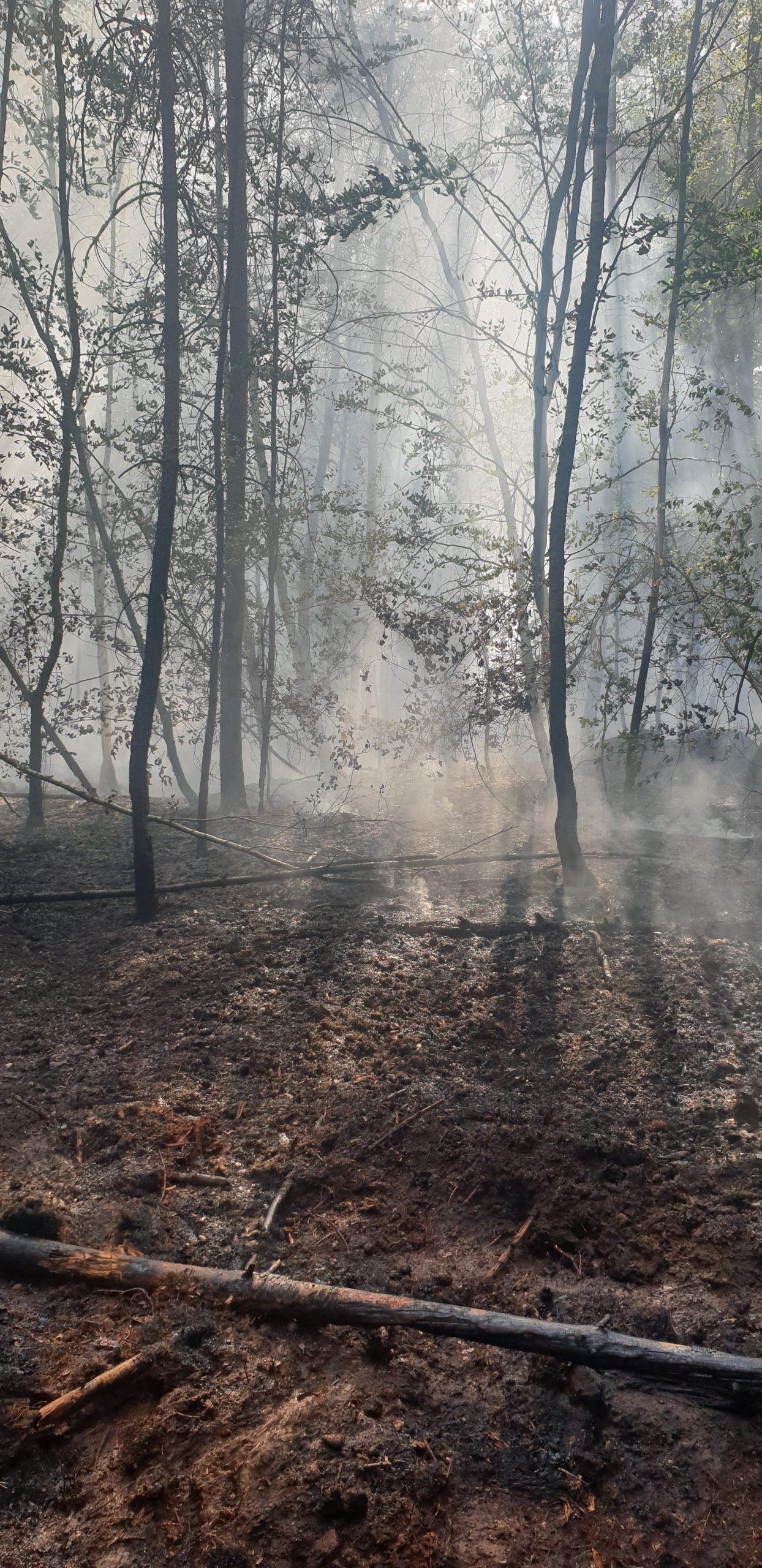 219 – 22.07.2019 – Waldbrand – Ramstein