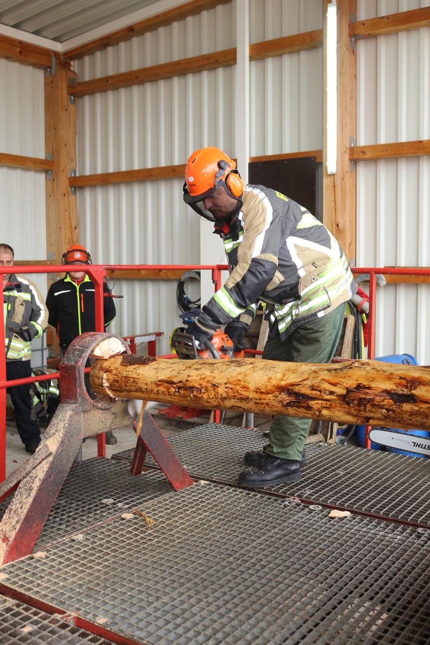 Schnittechniken mit der Motorsäge – ein spannendes Thema