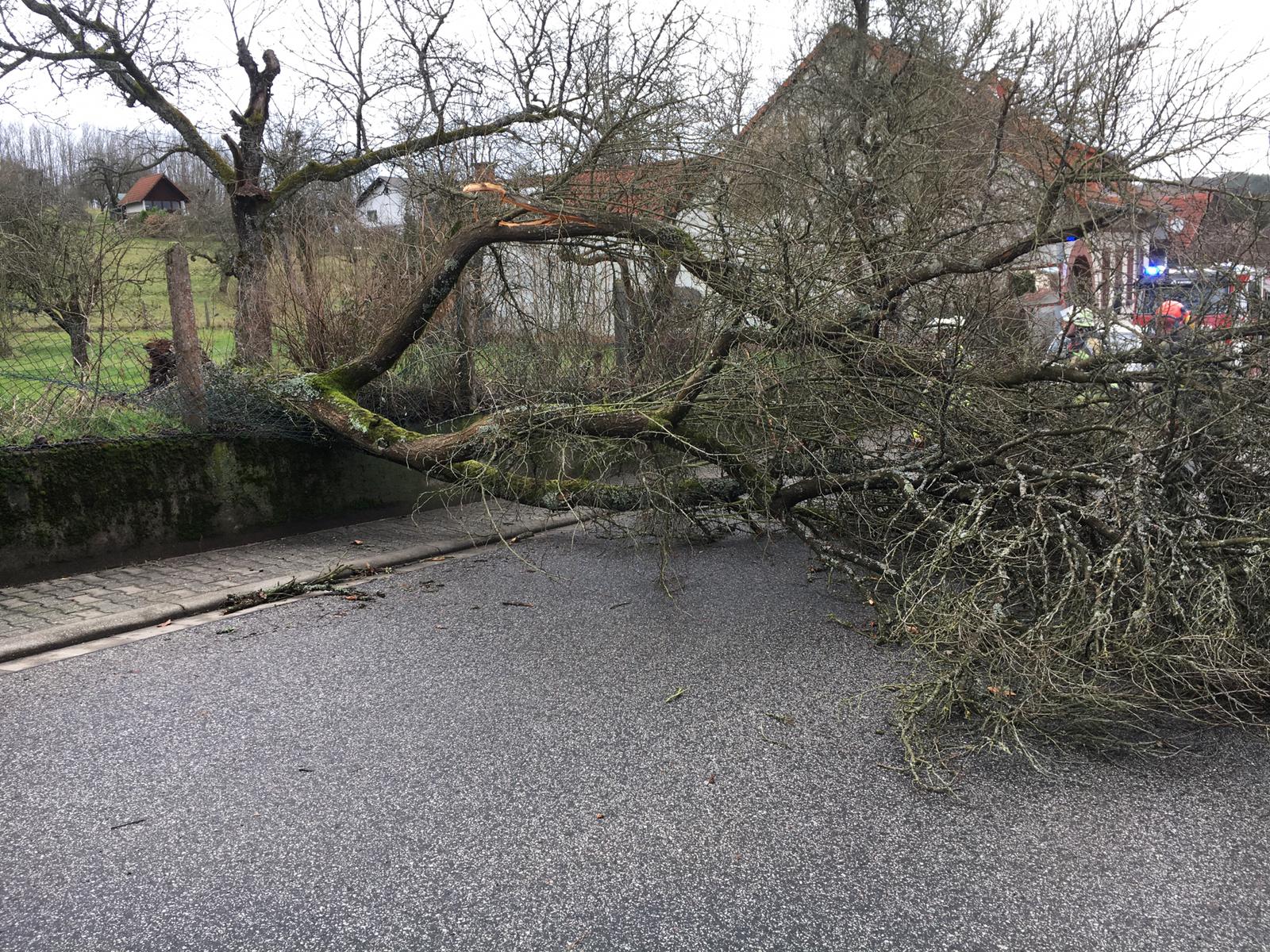 Eine stürmische Nacht mit Sabine