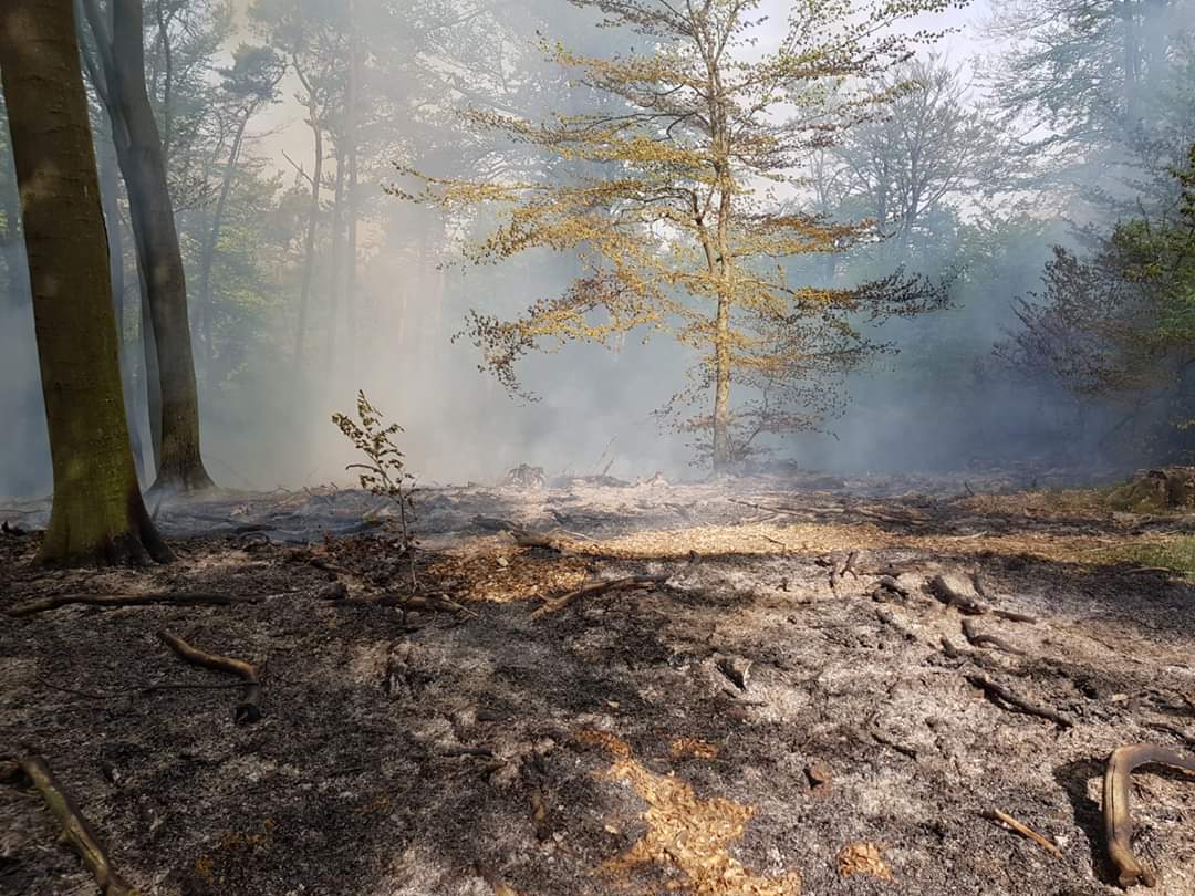 Waldbrand Hochspeyer