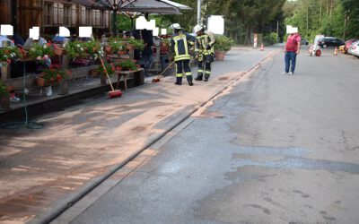 113 – 25.05.2022 – Übergelaufener Fettabscheider – Ramstein