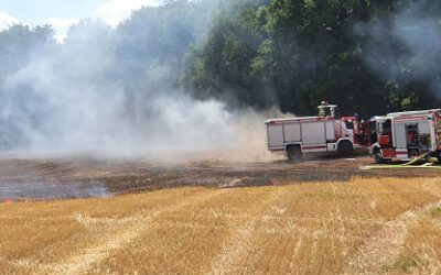 137 – 10.07.2022 – Flächenbrand – Miesenbach