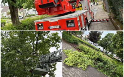 109 – 31.05.2025 – Blitzeinschlag in Baum – Ramstein