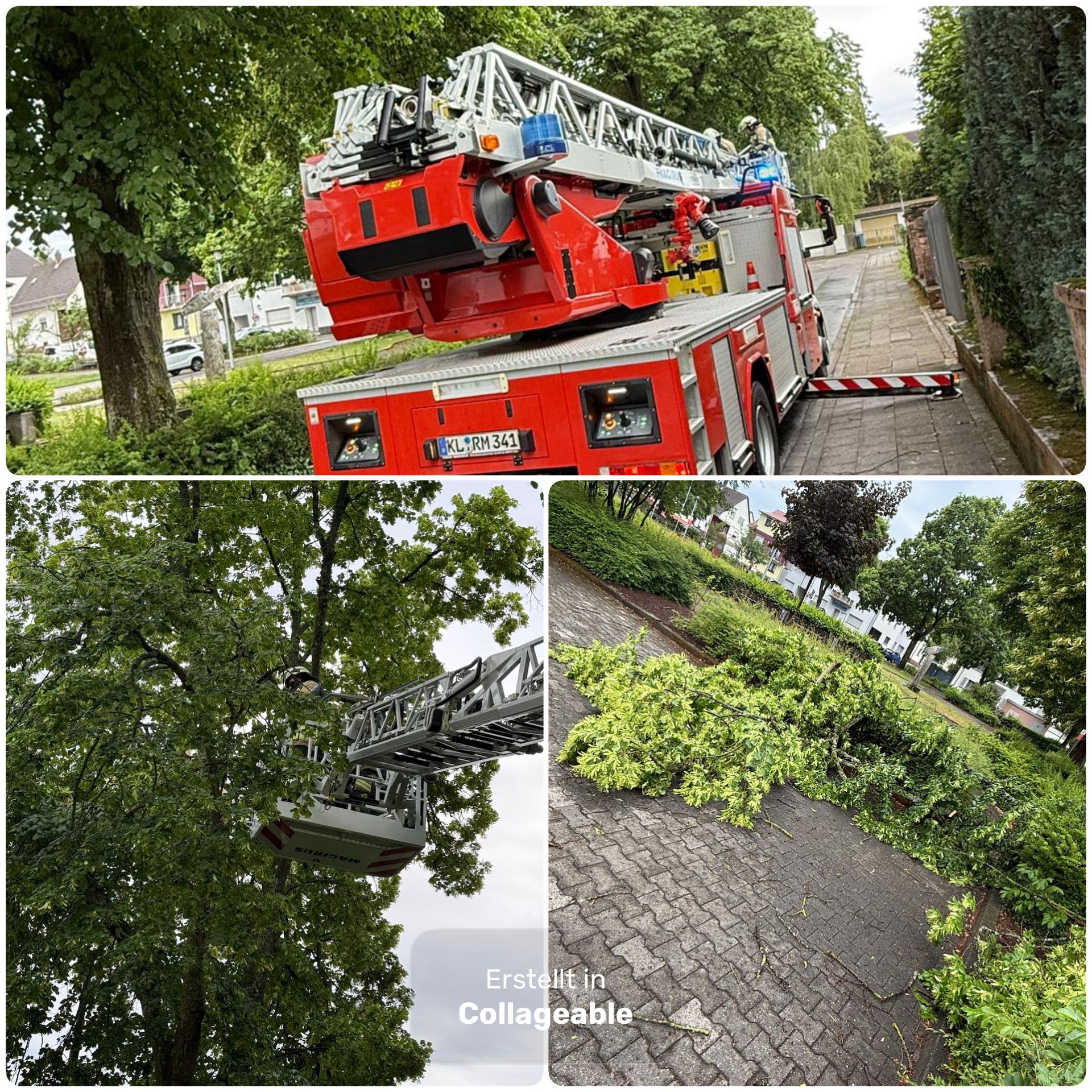 109 – 31.05.2025 – Blitzeinschlag in Baum – Ramstein