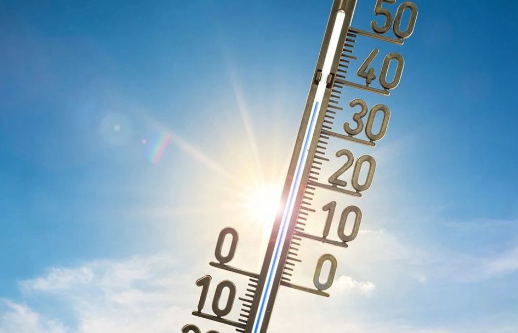 Wichtiger Appell bei hochsommerlichen Temperaturen: Kinder und Tiere niemals im Auto zurücklassen