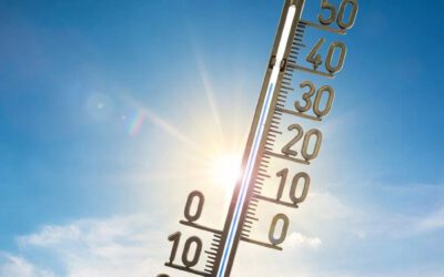 Wichtiger Appell bei hochsommerlichen Temperaturen: Kinder und Tiere niemals im Auto zurücklassen