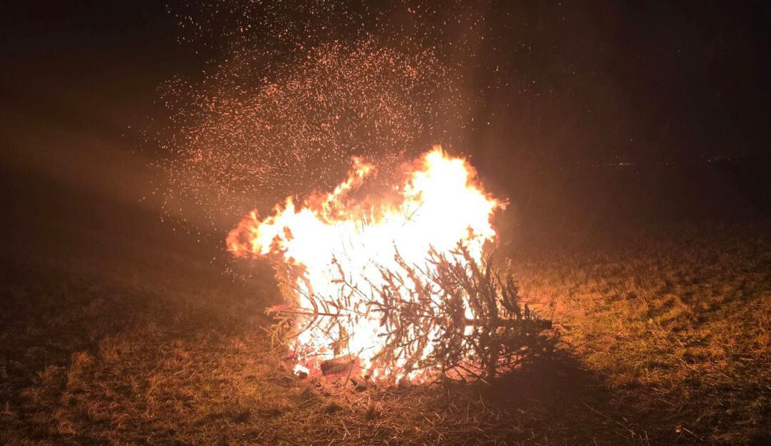 N01 – 09.01.2026 – BSW – Hütschenhausen